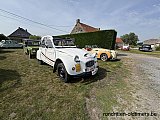Zandlemig Vlaanderen